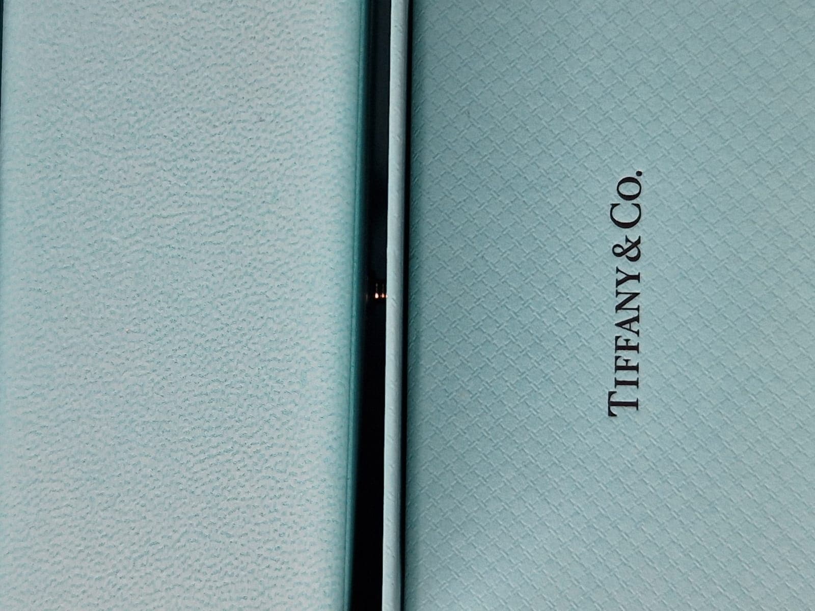 Earrings Tiffany thumbnail 12